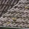 The Importance of Addressing Mold Issues Before Roof Replacement