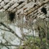 Why Newcastle Roofs Fail In The Wind, Not The Rain